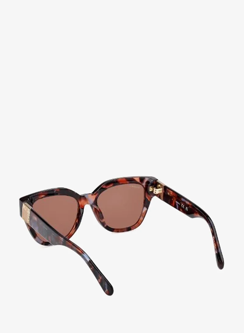 Maxco  wayfarers sunglasses for Women | Best Price UAE