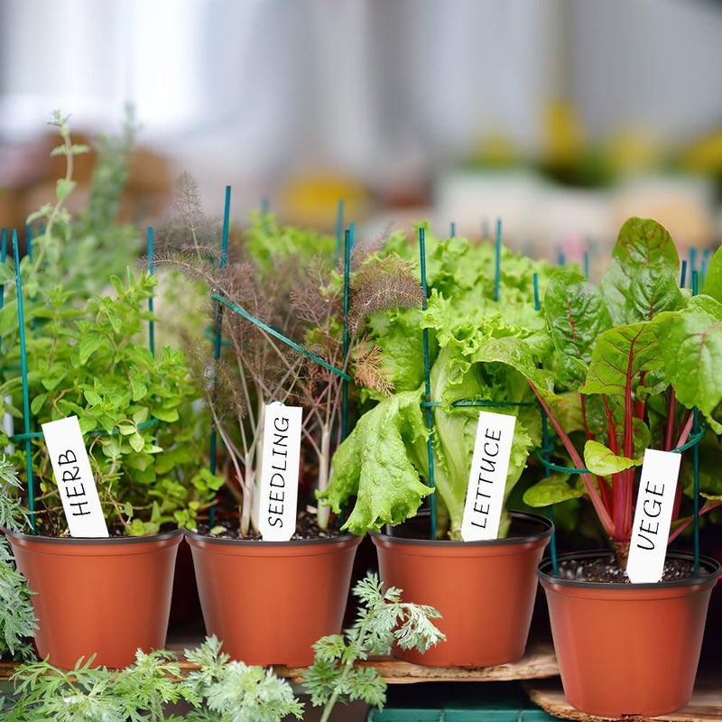 Bluckincle 100 Pcs Plant Nursery Pots, 4 Inch Small Plant Seedling Pots with Labels Plastic Plant Flower Pots with Drainage Holes Indoor Outdoor for Succulent Cutting Transplanting - Image 2