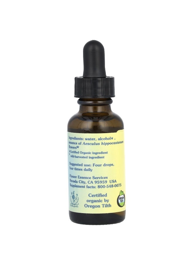 Flower Essence Services Flower Essence Services, White Chestnut, Flower Essence, 1 fl oz (30 ml)  - Image 2