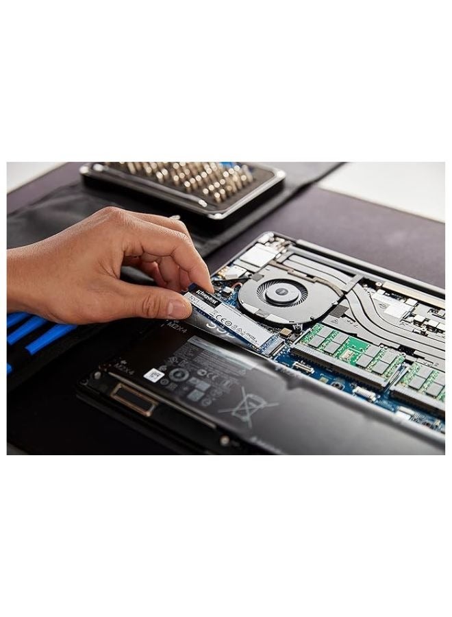 كينغستون NV1 PCIe NVMe M.2 2280 SSD داخلي، سعة 250 جيجا بايت 250 جيجا بايت - Image 5