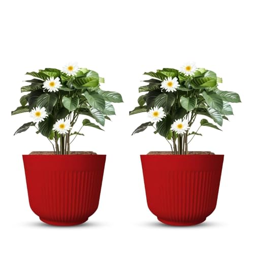 IMAGINEA Pack of 2 | 12Inch Plastic Flower Pots for Indoor & Outdoor Terrace, Garden Plants Decorative Planters Big Size Planters Durable & Lightweight (Red) - Image 1