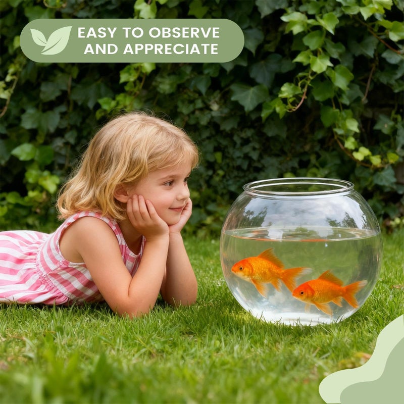 Small Clear Glass Fish Bowl Shatter Resistant Aquarium Container Easy Cleaning Table Centerpiece - Image 4