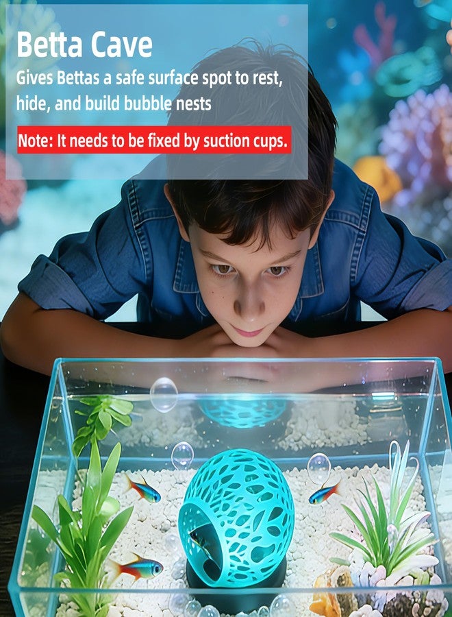 UNISOLODECHO Floating Betta Hideout Cave for Aquarium, Multi-Function Resting Hammock & Shrimp Feeder with Fish Feeding Ring, Betta Fish Tank Accessories, Aquarium Decor & Fish Tank Decor（Ice Blue） - Image 4