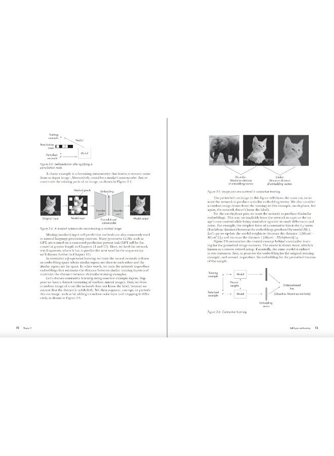 Machine Learning Q and AI: 30 Essential Questions and Answers on Machine Lear  - Image 2