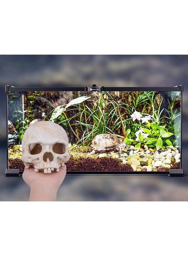AROGEAR Aquarium Resin Skull, For Aquarium Decoration Reptile House Cave Family Daily Decoration - Image 3
