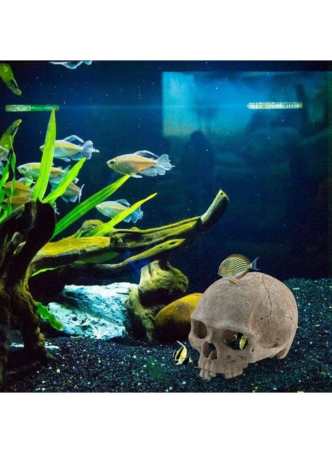 AROGEAR Aquarium Resin Skull, For Aquarium Decoration Reptile House Cave Family Daily Decoration - Image 4