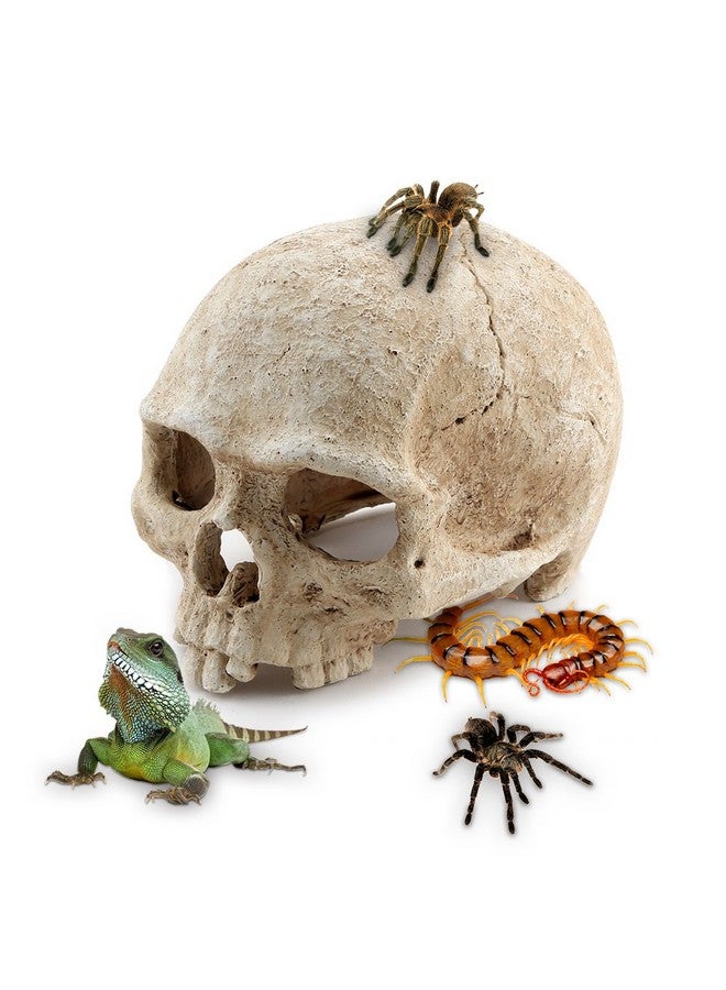 AROGEAR Aquarium Resin Skull, For Aquarium Decoration Reptile House Cave Family Daily Decoration - Image 1
