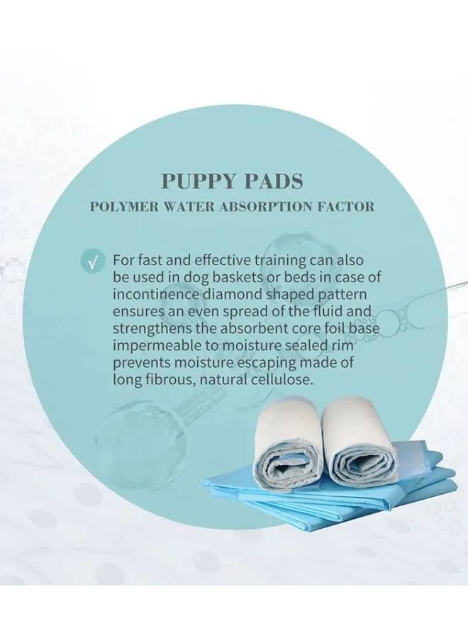 Bioline وسادات جرو بيولين 45 × 33 سم 50 قطعة - Image 3