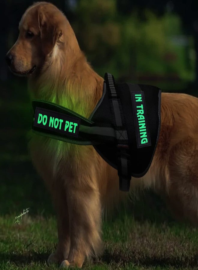 JIABEIUS 4 Pcs DO NOT PET Dog Harness Patches with Hook Backing, in Training Patch Tactical Dog in Training Harness, Reflective and Removable Tags (6.2 X 1.9) Inch - Image 5