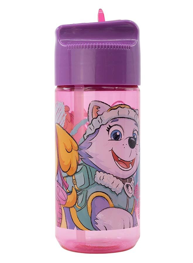 STOR PawPatrol ECOZEN Hydro Water bottle for Kids 430 ML - Image 2