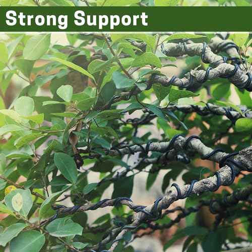 ZELARMAN Bonsai Training Wire Set of 4, Total 128 Feet (32 Feet Each Size) 3 Size - 1.0MM, 1.5MM, 2.0MM, Corrosion and Rust Resistant - Image 4
