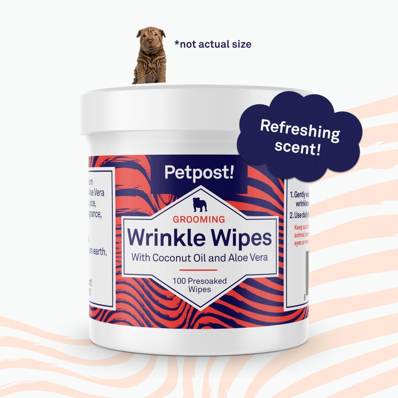 Petpost | Bulldog Wrinkle Wipes for Dogs - 100 Wipes - Cleans & Soothes Wrinkles and Pug Folds with Coconut Oil Solution 100 ct. - Image 5
