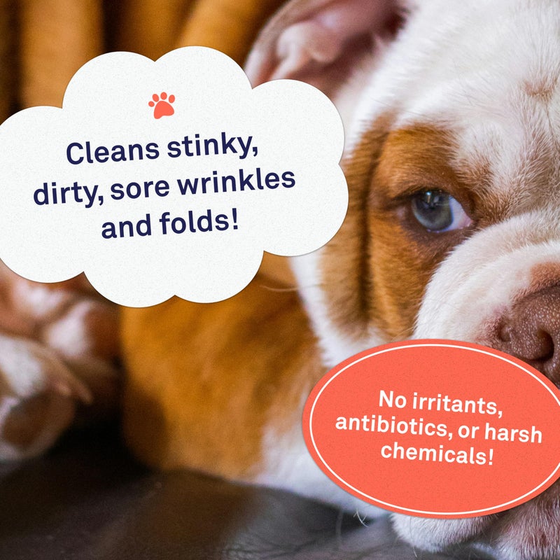 Petpost | Bulldog Wrinkle Wipes for Dogs - 100 Wipes - Cleans & Soothes Wrinkles and Pug Folds with Coconut Oil Solution 100 ct. - Image 2