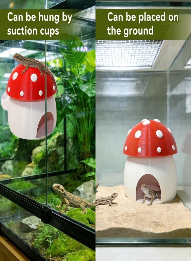 Hollima 3D Red Mushroom House Reptile Hides and Caves, Reptile Hideout Shelter for Geckos Bearded Dragons Chameleons Frogs with Dual Suction Cups for Wall or Ground - Image 5