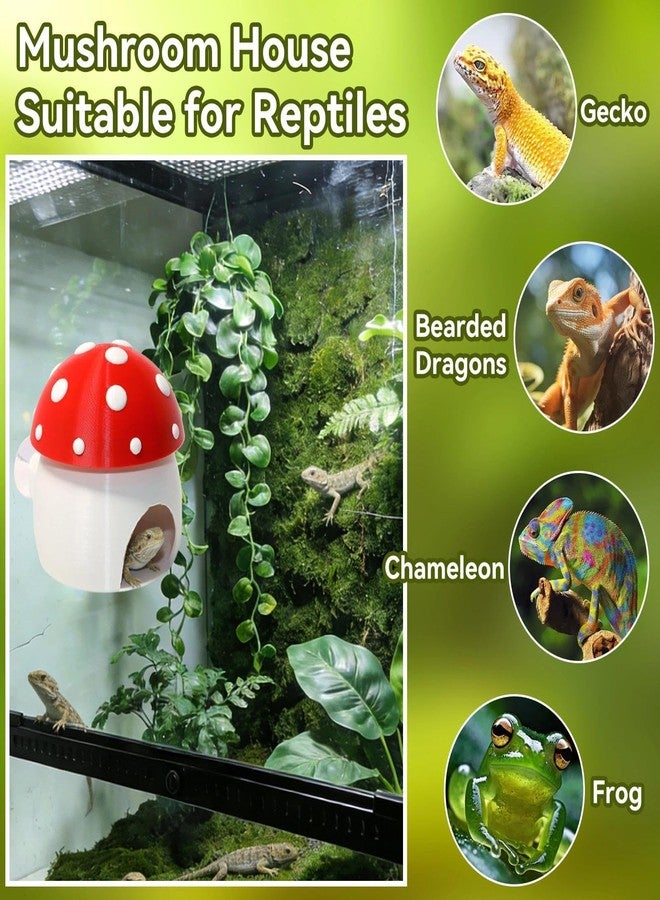 Hollima 3D Red Mushroom House Reptile Hides and Caves, Reptile Hideout Shelter for Geckos Bearded Dragons Chameleons Frogs with Dual Suction Cups for Wall or Ground - Image 3