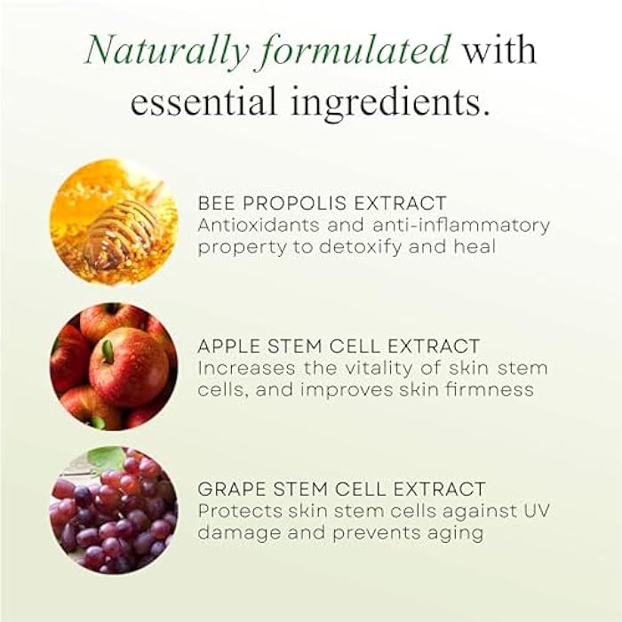 IDEN Signature Stem Cell Shampoo and Hair Masque Set, Promotes Healthy Hair Growth, Bee Propolis & Stem Cell Extracts, 12 fl.oz Each - Image 3