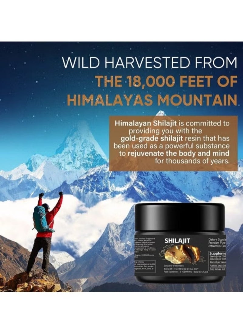 Shilajit RX Pure Himalayan Shilajit Resin High Potency Gold Grade for Men & Women| 75 Servings for Energy Boost & Immune Support, 85+ Trace Minerals, 75%+ Fulvic Acid  - Image 5