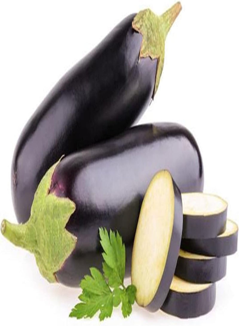 GGOOT Aubergine Seeds/Planted Throughout The Year/Delicious Vegetables/Outdoor Seeds UK - Image 1