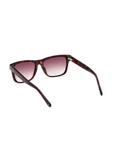 GANT Square Sunglasses For Men - Brown  - Image 4