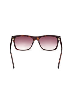 GANT Square Sunglasses For Men - Brown  - Image 5