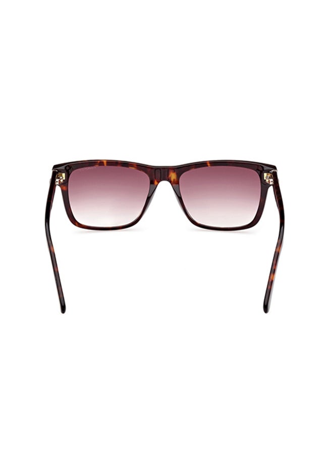 GANT Square Sunglasses For Men - Brown  - Image 5