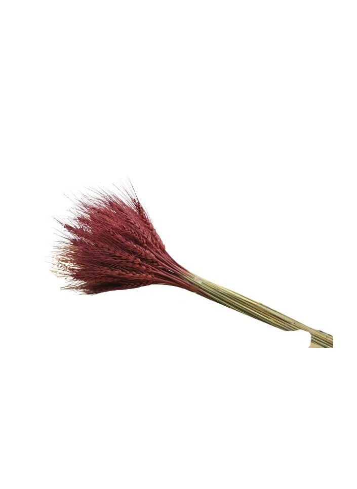 Generic Natural Dried Wheat Grass Bundle Artificial Wheat Dried Flower (Cherry wood , 50)  - Image 2