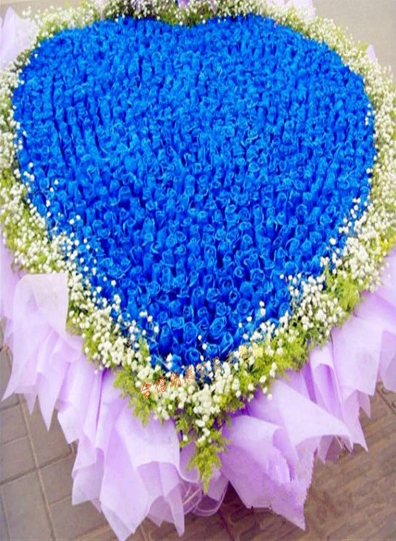 جي جوت بذور نباتات خضراء، 100 قطعة/حقيبة بذور ورد حلوة عالية الإنبات متعددة الألوان نبات معمر بونساي زهور ورد بذور للفناء بذور ورد برتقالي - Image 4