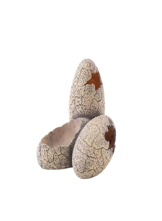 ET Dinosaur Eggs Hide & Water Dish - Image 1