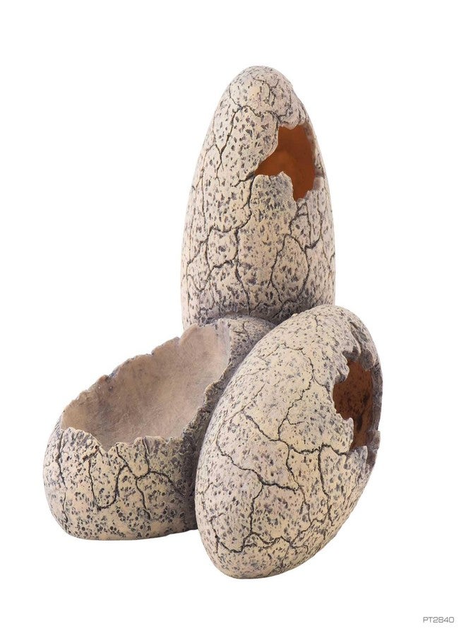 ET Dinosaur Eggs Hide & Water Dish - Image 3