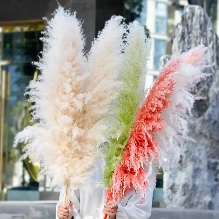 Bluejw Large White Fluffy Dried Pampas Grass - Natural Dried Plants for Home Decor, Wedding, Halloween & Graduation - Decorative Flower Gift - Image 5