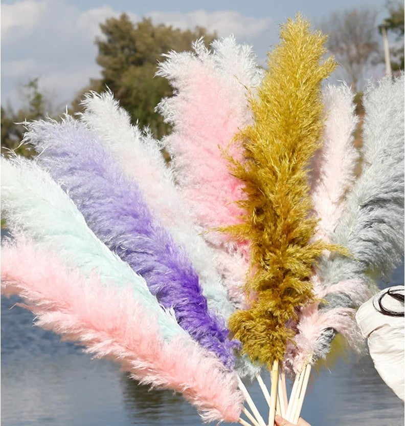 Bluejw Large White Fluffy Dried Pampas Grass - Natural Dried Plants for Home Decor, Wedding, Halloween & Graduation - Decorative Flower Gift - Image 4