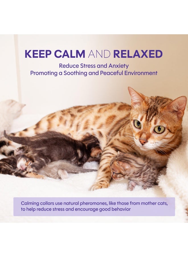 طوق مهدئ للقطط (عبوة من 4 قطع): مضاد للقلق - تخفيف توتر القطط وقلقها، طوق فيرومونات للقطط - Image 2