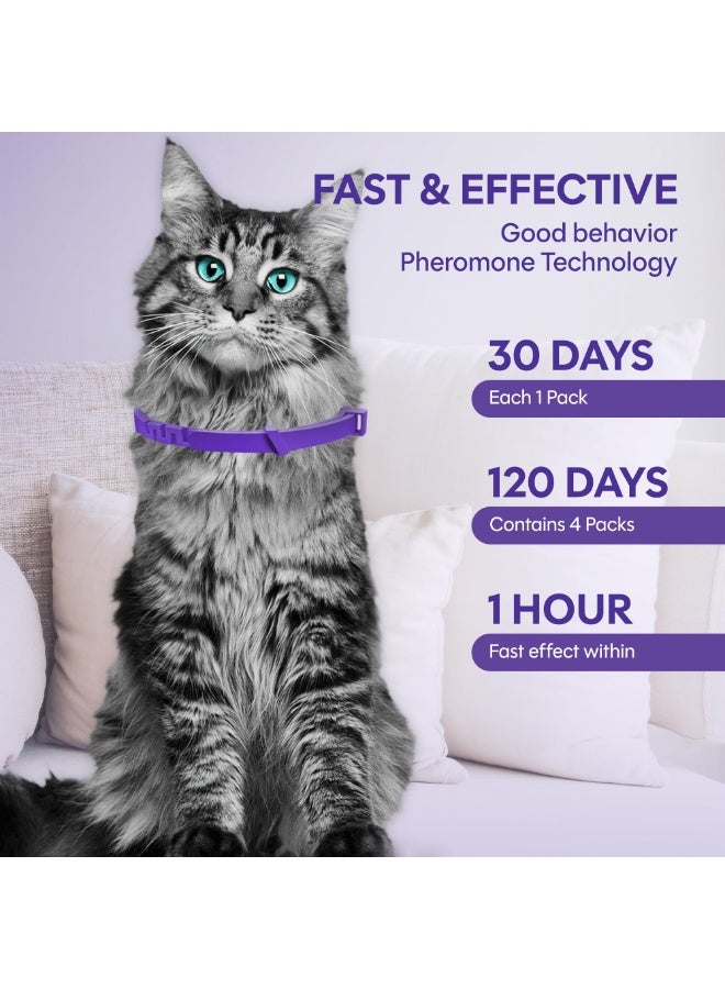 طوق مهدئ للقطط (عبوة من 4 قطع): مضاد للقلق - تخفيف توتر القطط وقلقها، طوق فيرومونات للقطط - Image 5