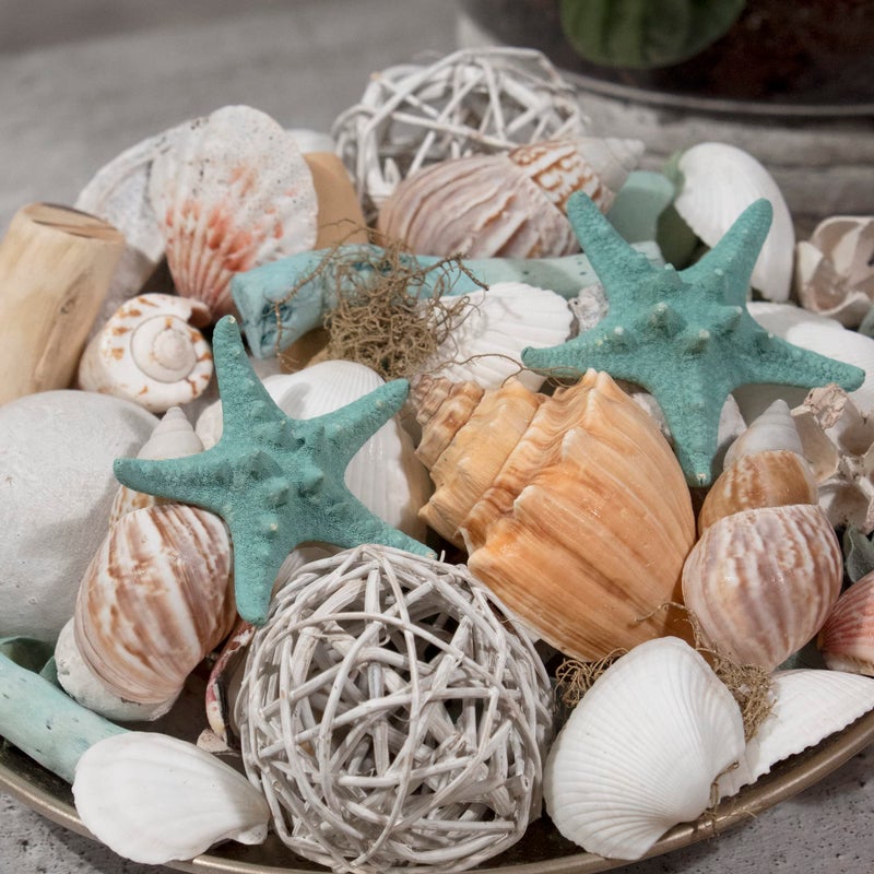 ANDALUCA Ocean Plumes Scented Seashell Potpourri Made in California Large 20 oz Bag Fragrance Vial Scents of Orange, Lime, Bergamot, Lily, Rose and Tonka Coastal Home Decor - Image 5