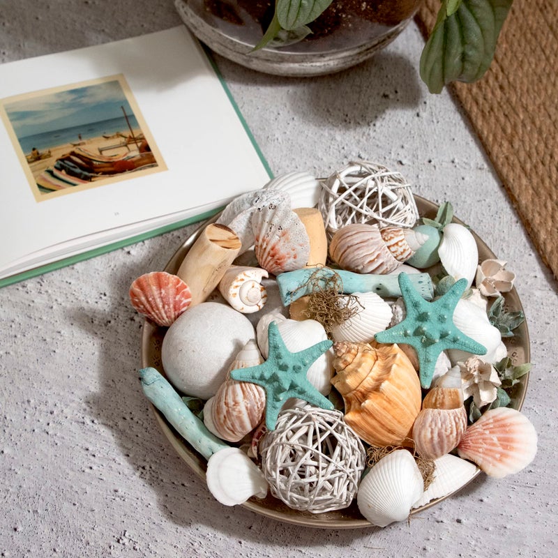 ANDALUCA Ocean Plumes Scented Seashell Potpourri Made in California Large 20 oz Bag Fragrance Vial Scents of Orange, Lime, Bergamot, Lily, Rose and Tonka Coastal Home Decor - Image 3