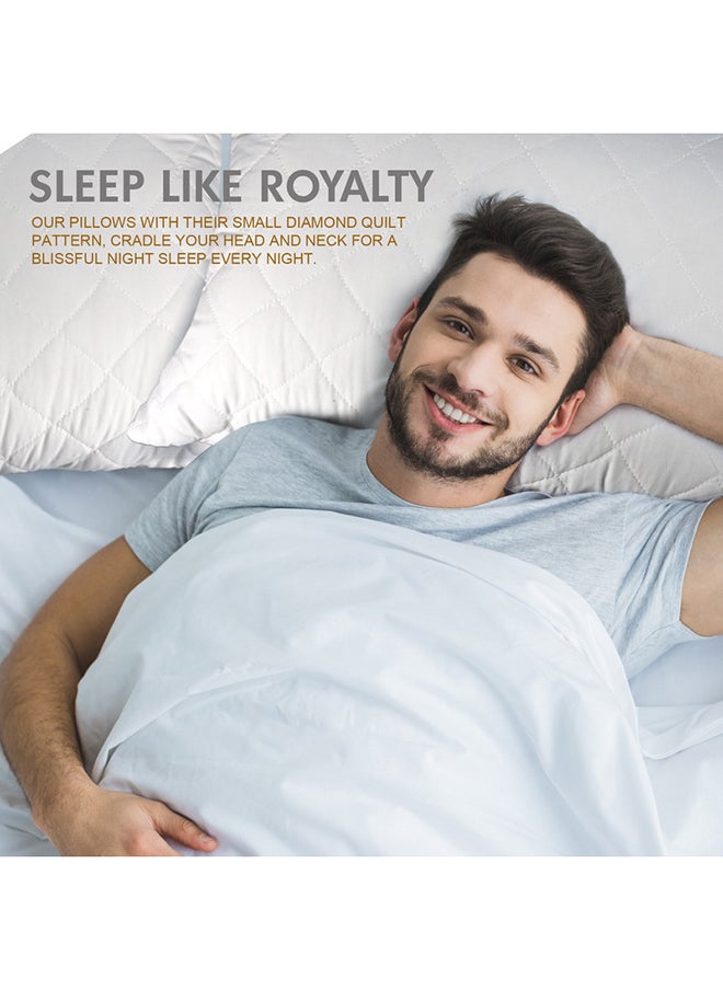 Hotel Linen Klub - لوازم الفندق كلوب حزمة من 2 وسادة مخدات ملكية (50 × 75 سم) غطاء خارجي: قماش ميكروفايبر سوبر ناعم بوزن 90GSM حشوة: 650 جرام ألياف ناعمة نمط لحاف ماسوني - Image 1