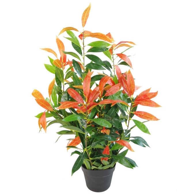 ARTIFICIAL FICUS TREEPLANT PHOTINIA RED GREEN 80CM