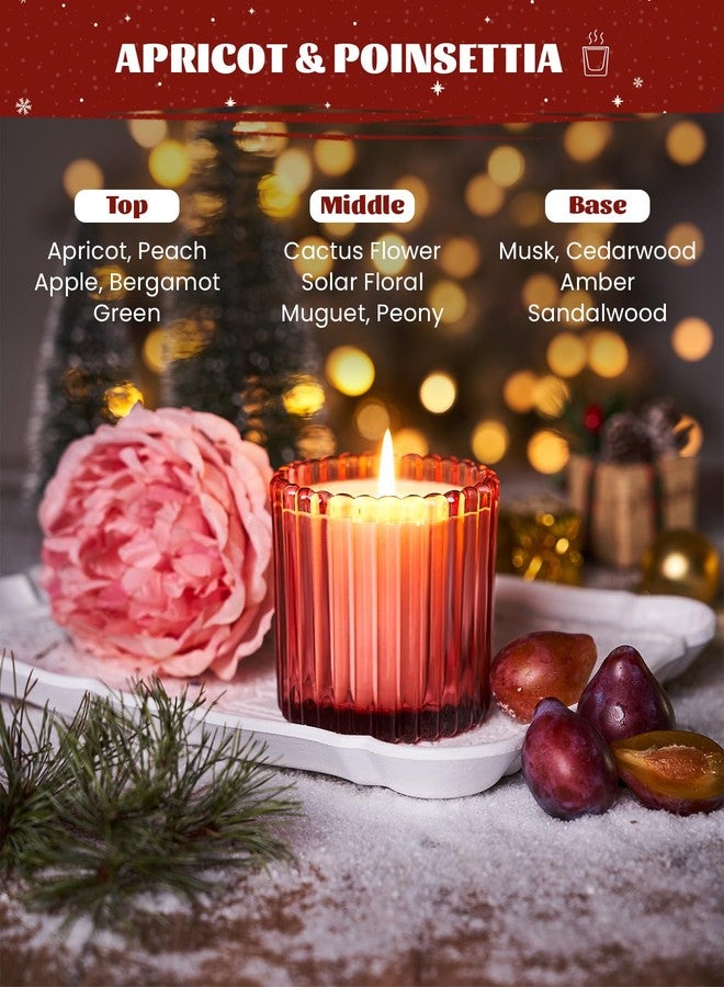 M&SENSE Apricot Poinsettia Scented Candles, Non Toxic Soy Candles, 9.2oz Natural Organic Clean Burning Up to 60 Hours, Christmas Home Decor Gifts for Women - Image 2