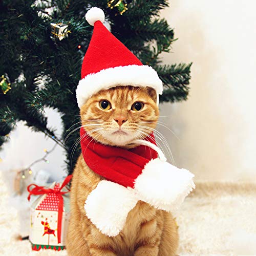 PETLESO Cat Santa Hat with Scarf, Christmas Hats for Cats Small Dog Santa Hat Christmas Costume for Cat Rabbit Puppy Doll Decoration, Red S - Image 1
