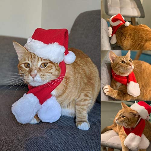 PETLESO Cat Santa Hat with Scarf, Christmas Hats for Cats Small Dog Santa Hat Christmas Costume for Cat Rabbit Puppy Doll Decoration, Red S - Image 5