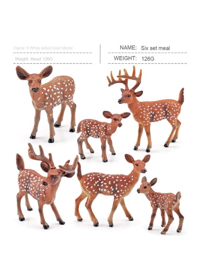 NIBEMINENT Children's Cognitive Educational Simulation Forest Animal Models - Red White-tailed Deer, Spotted Deer, Elk Toys