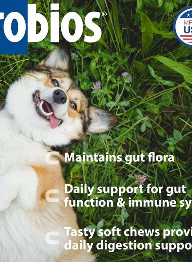 Probios Soft Chews for Medium and Large Dogs, 240gm - Image 2