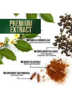 Nature's Nutrition Green Tea Extract Supplement Pills 1000mg - 98% Standardized EGCG with Polyphenols - 3X Strength for Natural Energy - Supports Heart and Antioxidant Health - Nature's Gentle Caffeine - 60 Capsules  - Image 2