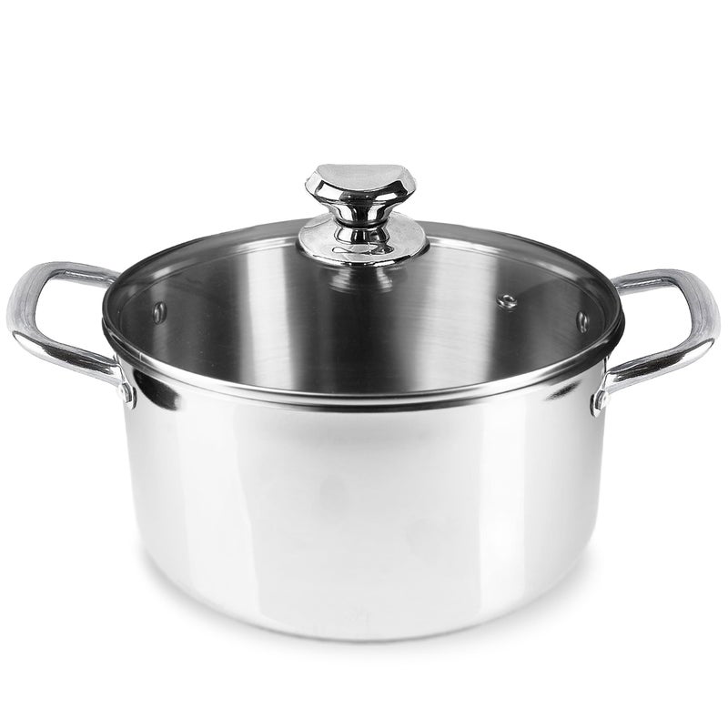 Homatz Induction Stock Pot 24cm Dia 5L Stainless Steel Pot with Glass Lid  NonStick Large Cooking Pot for Soups Stews  Oven Safe Upto 200 C  Casserole Dish Pot Silver