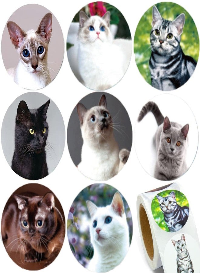 Hohamn 1.5" Cat Stickers for Kids Teachers, 500 Pcs Cat Kitten Stickers for Toddlers Birthday Party, School Reward, Giveaways - Image 1