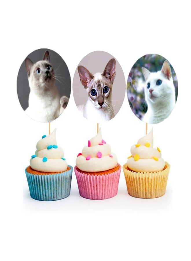Hohamn 1.5" Cat Stickers for Kids Teachers, 500 Pcs Cat Kitten Stickers for Toddlers Birthday Party, School Reward, Giveaways - Image 5