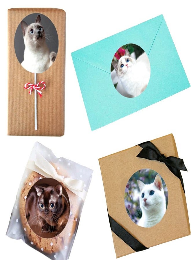 Hohamn 1.5" Cat Stickers for Kids Teachers, 500 Pcs Cat Kitten Stickers for Toddlers Birthday Party, School Reward, Giveaways - Image 4