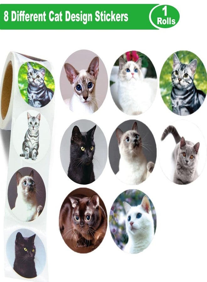 Hohamn 1.5" Cat Stickers for Kids Teachers, 500 Pcs Cat Kitten Stickers for Toddlers Birthday Party, School Reward, Giveaways - Image 2