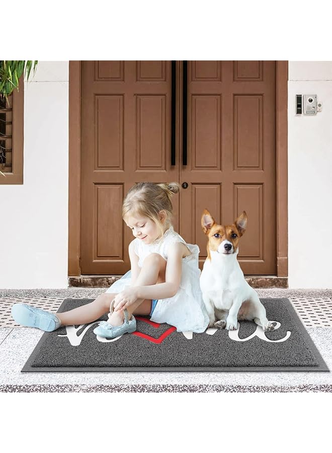 إيروريكس سجادات باب المنزل للترحيب بالخارج والداخل، متينة ومنخفضة الارتفاع، بساط أمامي غير قابل للانزلاق لمدخل المنزل، سهل التنظيف، ديكور شرفة المنزل، أرضية الفناء الخارجي 30 بوصة × 17.5 بوصة، رمادي المنزل - Image 3