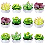 Swpeet Swpeet 12Pcs Decorative Succulent Cactus Tealight Candles Kit, Cute Smokeless Succulent Plants Perfect for Candles  - Image 1